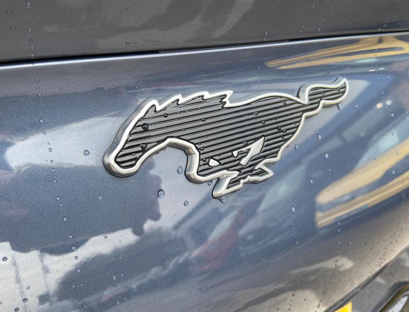 Ford Mustang Mach-E Photo b2c596d0-2790-40e6-9092-4e3f9256ea65.jpg