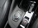BMW X1 Photo 28