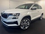 Skoda Karoq Photo 8