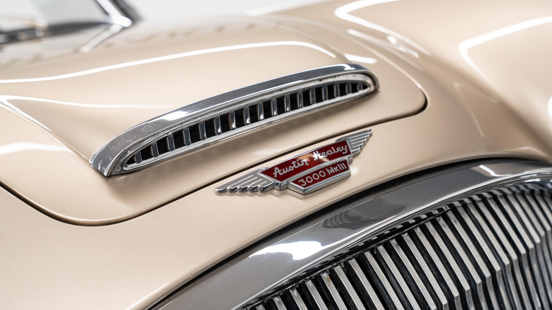 Austin Healey Photo bcb67299-6b7a-429a-994c-b2c67a7525d2.jpg
