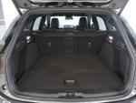 Ford Focus Photo 5