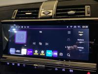 DS AUTOMOBILES DS 7 Photo 10