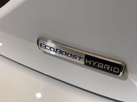 FORD FIESTA Photo 18