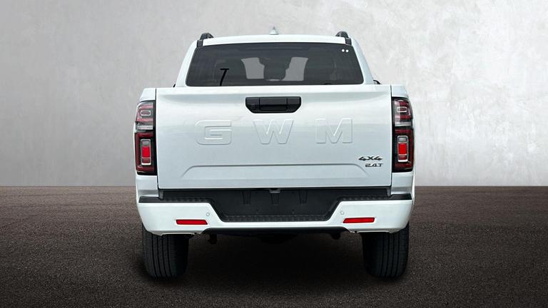 Used GWM POER300 NEW 6