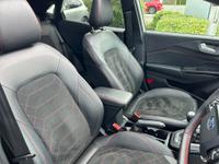 Ford Puma Photo 12