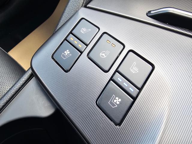 Kia Sportage Photo c7862fe2-732b-47e3-814c-e1bf59e8d3c5.jpg