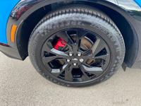 Ford MUSTANG MACH-E Photo 8