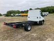 Iveco Daily Photo 3