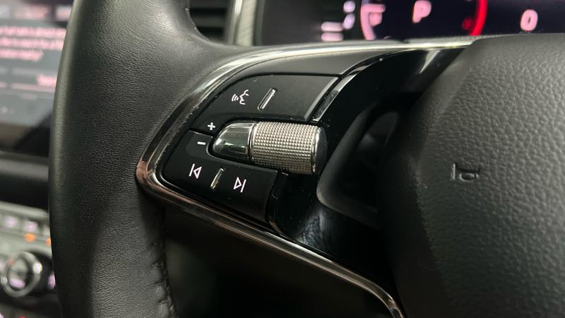 Skoda KODIAQ Photo cohere-24763f0630a7e2a5526255c48932fb07f9b172d8.jpg
