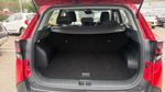 Kia Sportage Photo 12