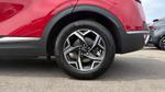 Kia Sportage Photo 14