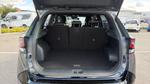 Kia Sportage Photo 12