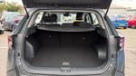 Kia Sportage Photo 12