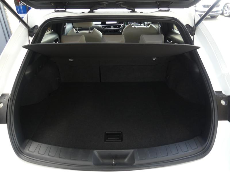 Lexus UX Photo d1cd2ec1-ddbb-42ff-b0a9-5d892927cee7.jpg