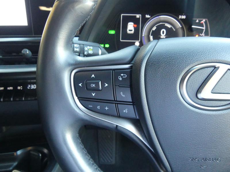 Lexus UX Photo d4b68241-df1b-400b-bec1-7b8219abb29c.jpg