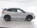 Ford Kuga Photo 3