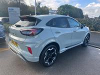 Ford Puma Photo 6