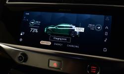 Jaguar I-PACE Photo 22