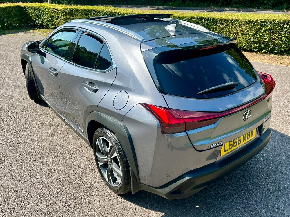 Used Lexus UX L666MBV 19