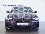 BMW 2 Series Photo 30