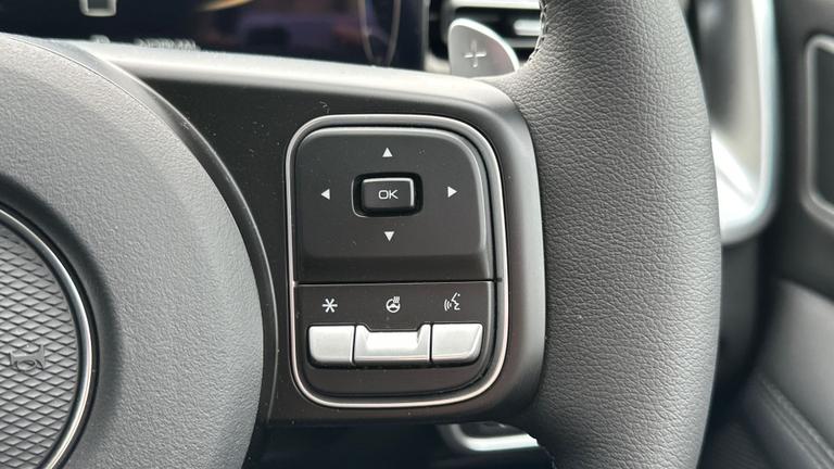 Used GWM POER300 NEW 33