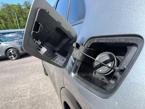 Kia Niro Photo ef3c2f3c-b899-46c2-ae5a-41e7a37278af.jpg