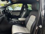 Kia Sportage Photo 14