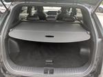 Kia Sportage Photo 14