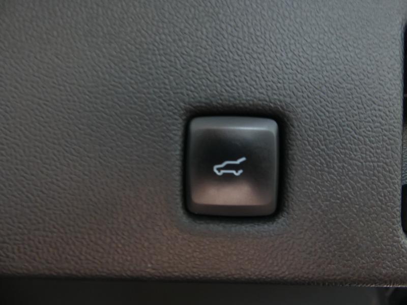 Ford Kuga Photo f8e7cba2-bdd8-47c6-b069-4e3b25e40eb8.jpg