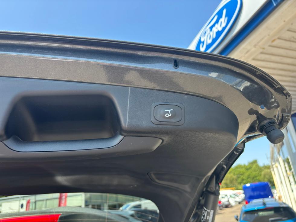 Ford Focus Photo fa834764-4dc2-40ac-b9fd-2b9baebffb7e.JPEG