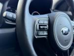 Kia e-Niro Photo 19