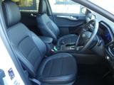 Ford Kuga Photo 13