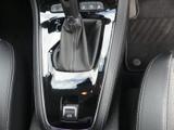 Vauxhall Grandland X Photo 28