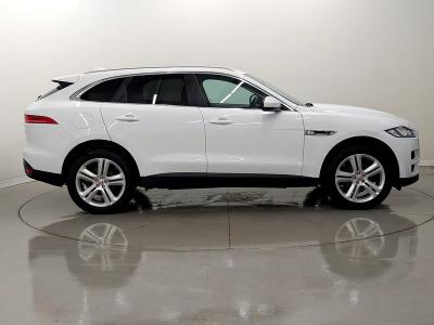 Jaguar F-PACE Photo freshmotors-8e31382a8bb7c44839a8f03c6c2d5db26a9a99c5.jpg