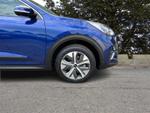 Kia e-Niro Photo 5