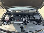 Kia Sportage Photo 18