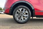 Kia Sportage Photo 6
