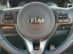 Kia e-Niro Photo 22