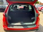 Kia Sportage Photo 5