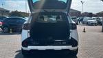 Kia Sportage Photo 14