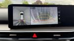 Kia Sorento Photo 16