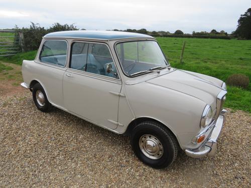 1963 Wolseley Hornet