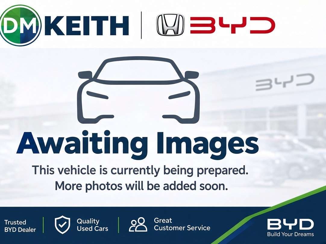 2026 Byd Dolphin Surf
