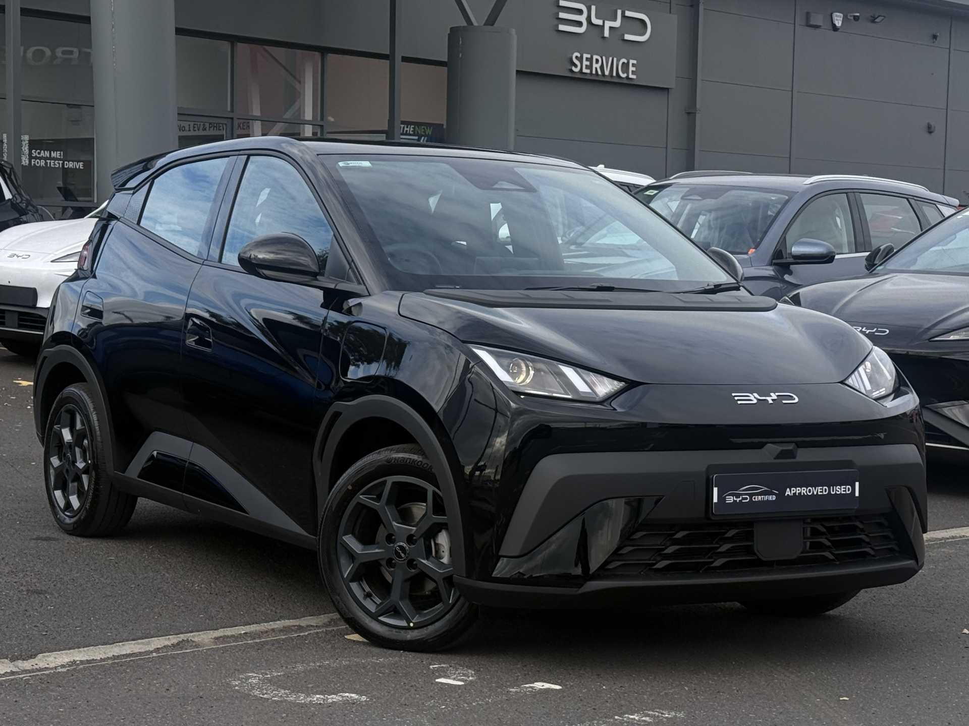 2026 Byd Dolphin Surf