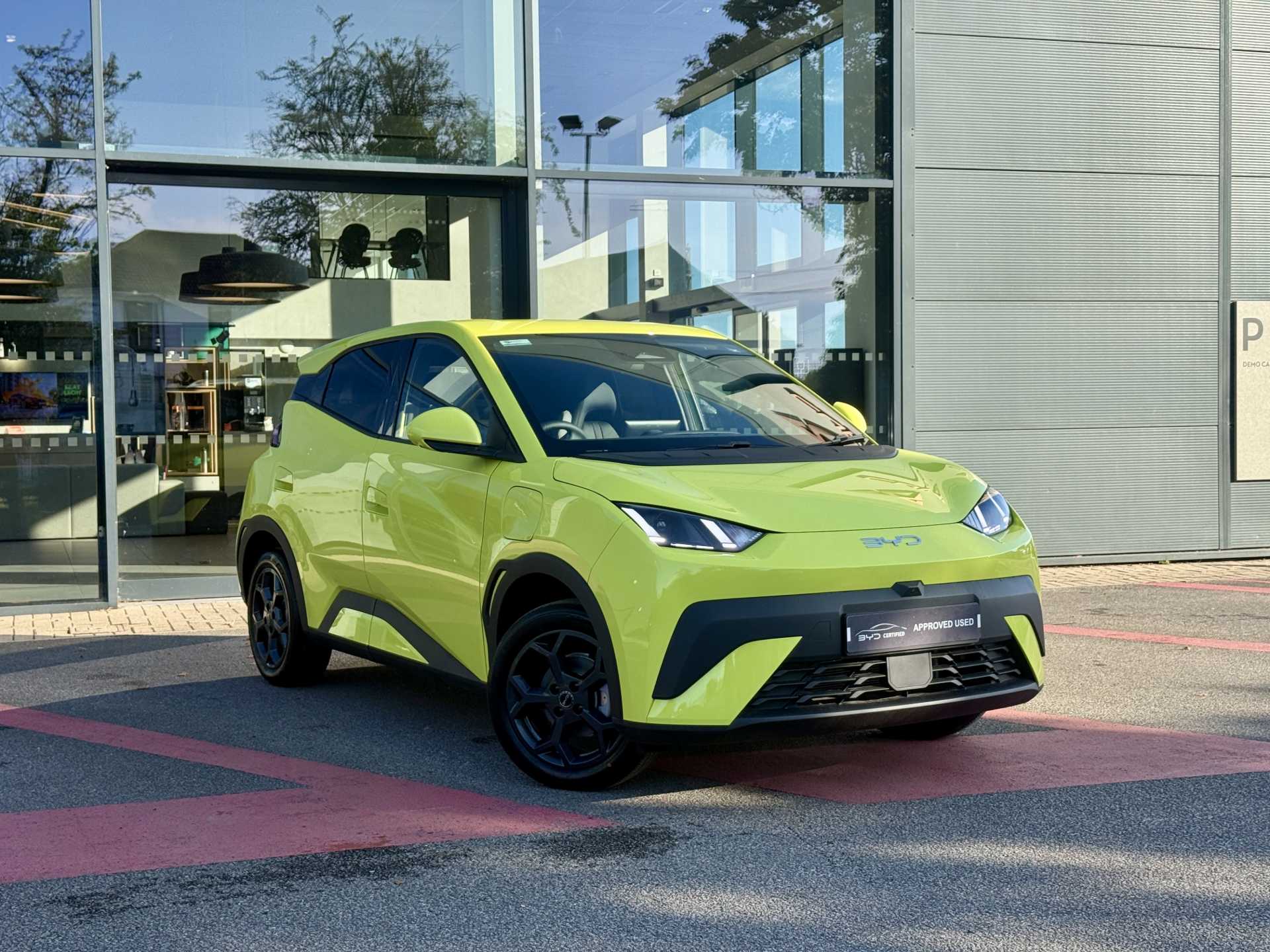 2026 Byd Dolphin Surf