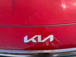 Kia Niro Photo 5