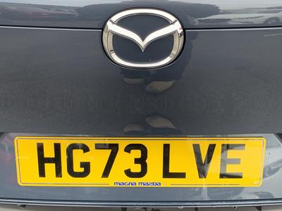 Mazda CX-30 Photo 42