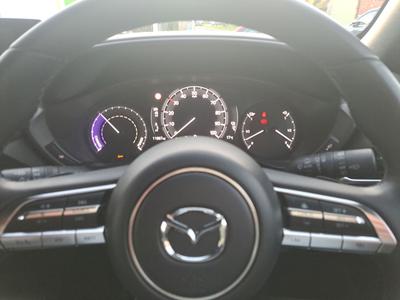 Mazda MX-30 Photo 26