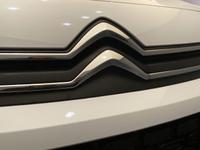 CITROEN BERLINGO Photo 15