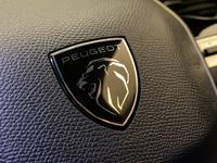 PEUGEOT 408 Photo 25